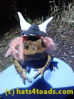 /home//u458753944/public_html/sourcegallery////////////////////////Roxborough Toad Detour/2021/2021-04-10/P4100241.JPG